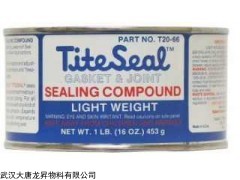 T20-66 T20-66發(fā)電機(jī)封氫密封膠TiteSeal