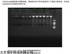糞便DNA提取試劑盒（磁珠法）LD M2008