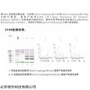 Streck管專用血漿游離DNA提取試劑盒（磁珠法）