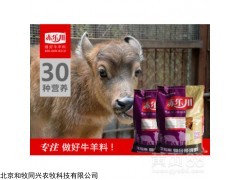 北京犢牛飼料高端品牌小牛飼料