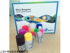 人elisa试剂盒