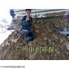 洗沙污泥脱水机专用 洗沙泥浆脱水专用
