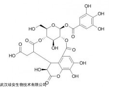 166833-80-3,CAS：166833-80-3，Chebulanin