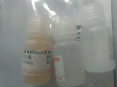 凝固血液DNAOUT