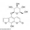 425680-98-4，CAS：425680-98-4，8-Hydroxy-5-O-beta-D-glucopyranosylpsoralen