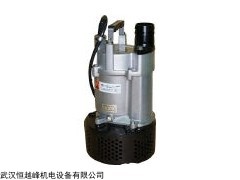 US-212A-50HZ涡流泵日本樱川