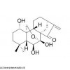 30220-43-0，CAS：30220-43-0，Effusanin A