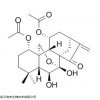 24267-69-4，CAS:24267-69-4,Shikokianin