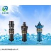 QD/Q干式潛水電泵