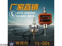 直顯式電子吊秤