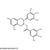 GCG没食子儿茶素没食子酸酯使用，对照品网标准品网，CAS4233-96-9现货价格