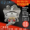 DKJ系列電動(dòng)裝置