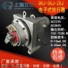 供應(yīng)訂做DKJ角行程電動(dòng)執(zhí)行機(jī)構(gòu) 閥門(mén)