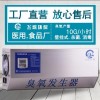 飞歌FG 壁挂式臭氧消毒机 10g臭氧发生器 养殖场杀菌 食品厂消毒机