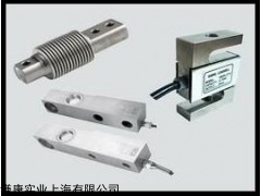 RAMSEY传感器