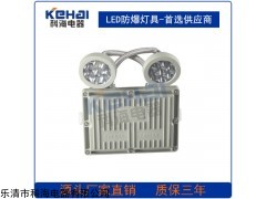 双头防爆应急灯 专业防爆生产商供应