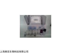 48t/96t 人神经调节蛋白1(NRG-1)ELISA试剂盒