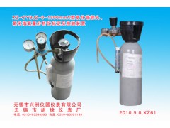 氧化鋯氧量分析儀-無錫興洲儀表-0