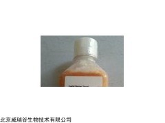 北京威瑞谷生物供应澳洲BOVOGEN新生牛血清