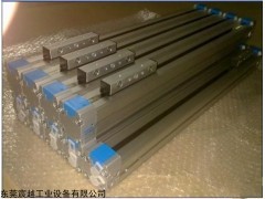 FESTO带气缓冲无杆缸,FESTO无杆气缸价格