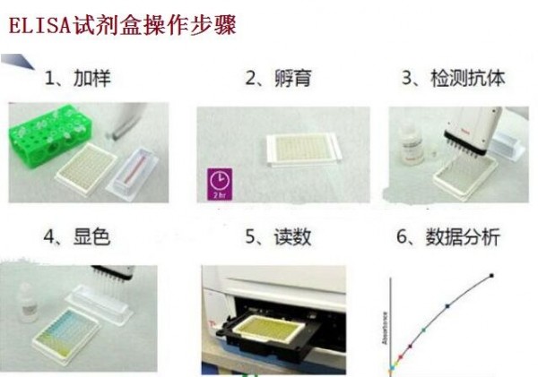 人白介素6(IL-6)ELISA試劑盒