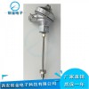 SBWR-2281/WRN-230溫度變送器，插入式一體化
