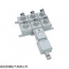 防爆防腐插座箱，BXMD防爆防腐電源插座箱