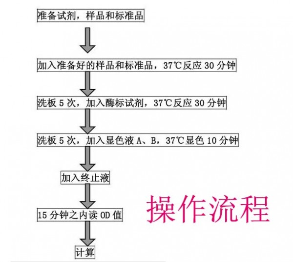 马组织金属蛋白酶抑制因子3(TIMP3)ELISA试剂盒价格