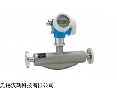 F200科氏力質(zhì)量流量計，上海E+H甲醇質(zhì)量流量計
