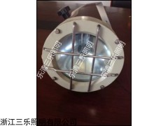 三乐照明DGS70/127B（A)投射防爆灯厂家