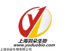 丁醛-聚乙二醇-丁醛，Mw：35000