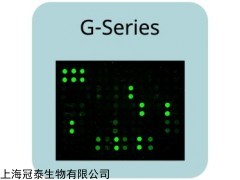raybiotech  AAH-GF-G1芯片操作流程