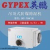 山东防爆除湿机，烟台防爆除湿机BCF-790CD