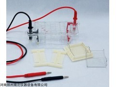 电泳仪/电泳槽，凝胶电泳仪厂家