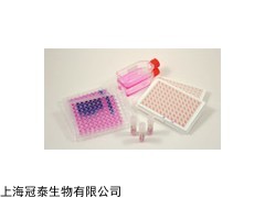 Axygen qPCR 耗材