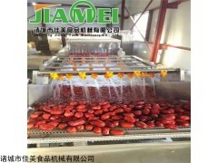 诸城佳美JM大枣清洗机 不锈钢果蔬清洗机生产商