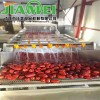 诸城佳美JM大枣清洗机 不锈钢果蔬清洗机生产商