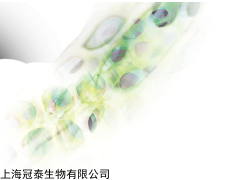 Quidel公司ELISA产品