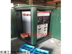 一进一出 二出10KV开关柜二进四出环网柜厂家