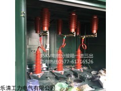 一进一出二出35KV带避雷器电缆分支箱二进二出四出制造