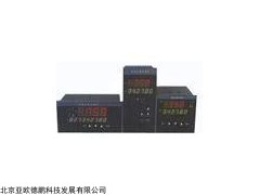 智能能数显仪表NPXM-2011 P5N