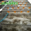 诸城佳美JM菠菜清洗机 不锈钢清洗机多少钱