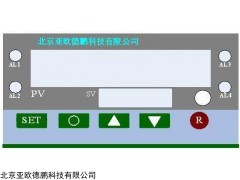 智能显示控制仪PMCKZ