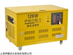12KW自啟動(dòng)汽油發(fā)電機(jī)帶ATS