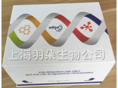 兔血清淀粉樣蛋白A(SAA)ELISA試劑盒