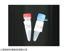 Anti- phospho-IKB alpha抗體