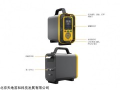 TD6000-SH-HF氟化氢分析仪、手提泵吸式HF测定仪