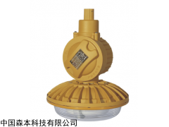 SBD1102-YQL40免维护防爆节能灯