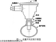 温防爆流量开关DPBL-FRC