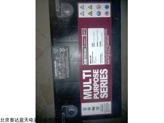 上海大力神蓄電池MPS12-54/12V54AH西恩迪電源